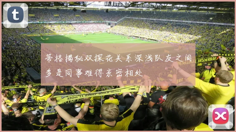 蒂格揭秘双探花关系深浅队友之间多是同事难得亲密相处